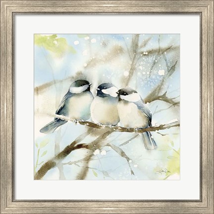 Framed Three Chickadees in Spring Sq Print