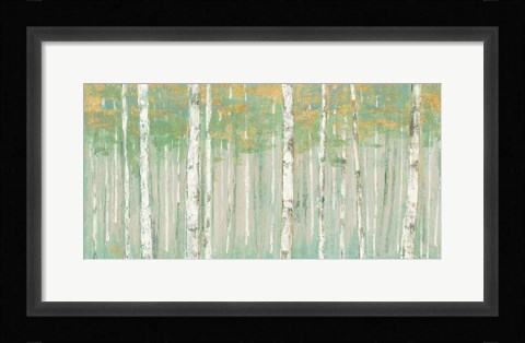 Framed Birchs at Sunrise Gold Crop Print