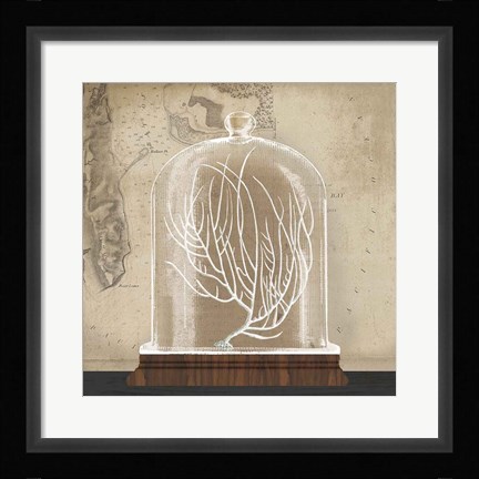 Framed Coral Cloche II Print