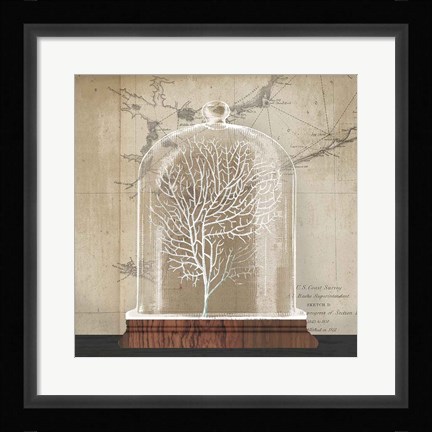 Framed Coral Cloche I Print