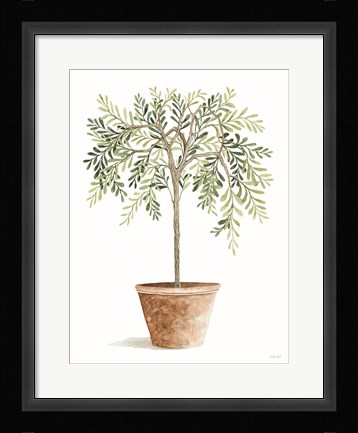 Framed Topiary I Print