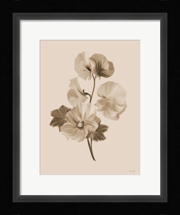 Framed Sepia Botanical II Print