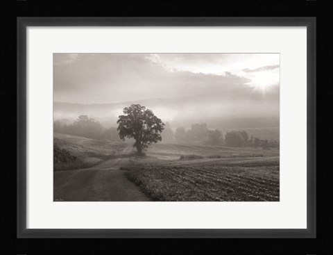 Framed Morning Haze II Print