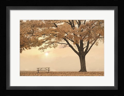 Framed Perfect Picnic Spot Print