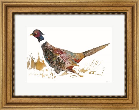 Framed Pheasant 2 Print