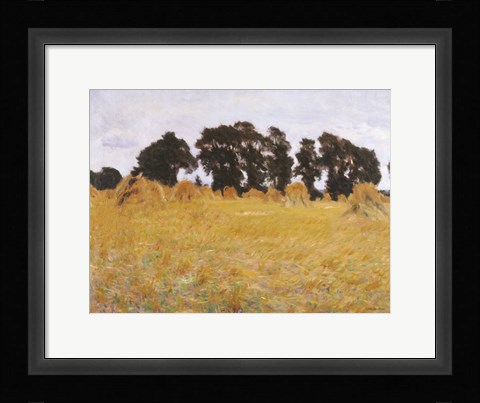 Framed Field Print