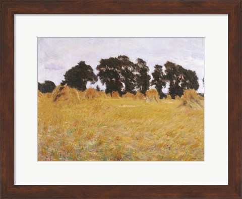 Framed Field Print