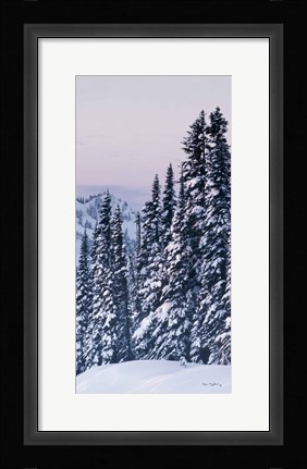 Framed Tatoosh Range Panel III Print
