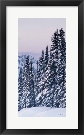 Framed Tatoosh Range Panel III Print