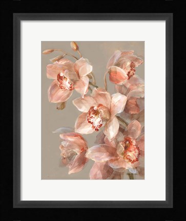 Framed Delicate Orchid II Print