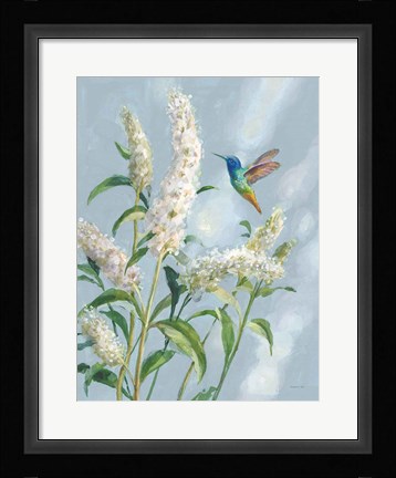 Framed Hummingbird Spring II Soft Blue Print