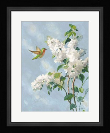 Framed Hummingbird Spring I Soft Blue Print