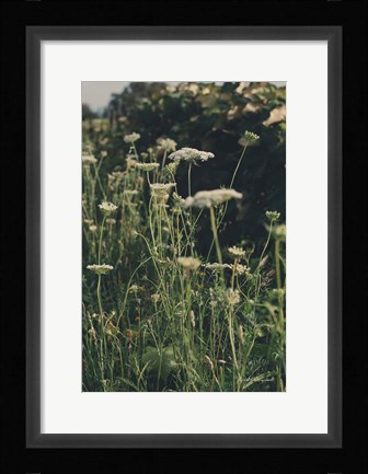 Framed Running Wild II Print