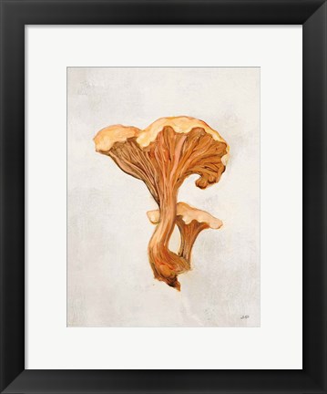 Framed Woodland Mushroom IV Print