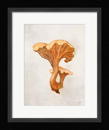 Framed Woodland Mushroom IV Print