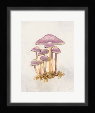 Framed Woodland Mushroom III Print