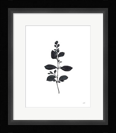 Framed Botanical Study Branch Print