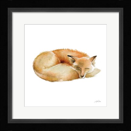 Framed Sleeping Fox on White Print