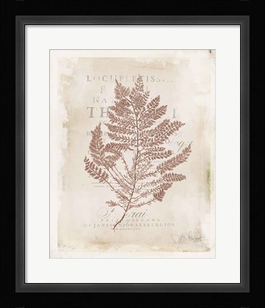 Framed Sea Garden III Brown Print