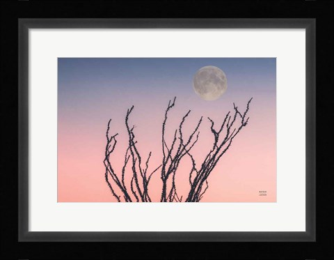 Framed Reaching Up Moon Print
