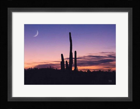 Framed Desert Moons Print