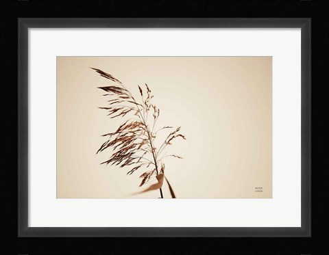 Framed Summer Reeds III Print