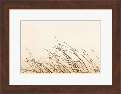 Framed Country Grasses II Print