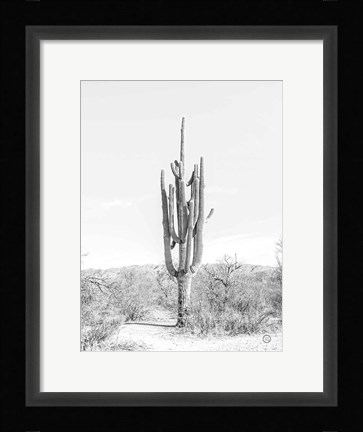 Framed Standing Alone Print