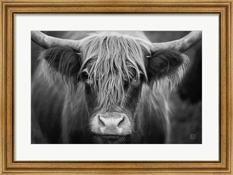 Framed Cow Nose BW Print