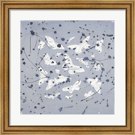Framed 19th Century Butterfly Constellations in Blue II Print