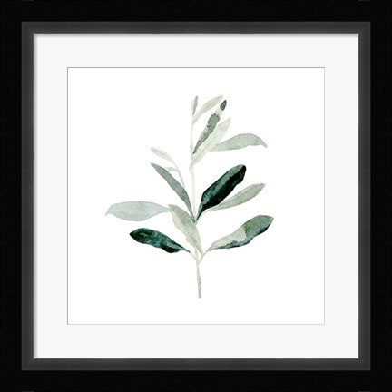 Framed Summer Olive Branch II Print