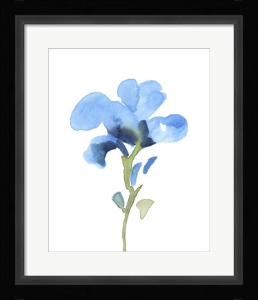 Framed Striking Blue Iris I Print
