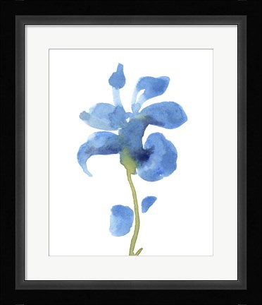 Framed Striking Blue Iris III Print
