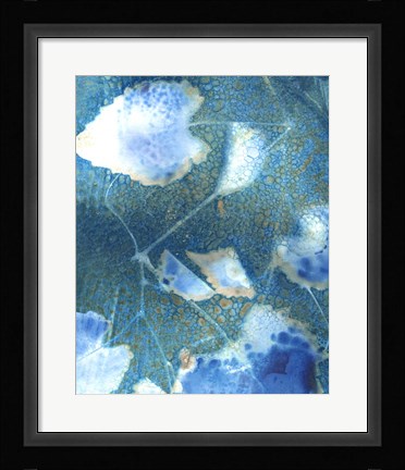 Framed Cyanotype Leaves I Print