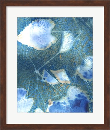 Framed Cyanotype Leaves I Print
