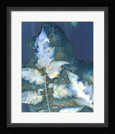 Framed Cyanotype Leaves II Print
