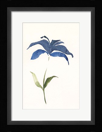 Framed Floweret II Print