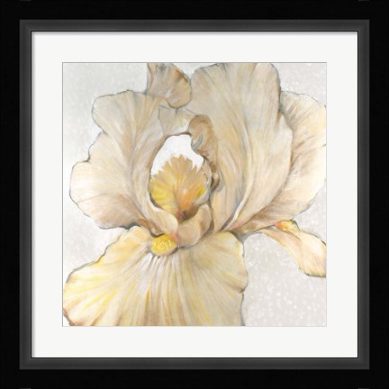 Framed Iris Cream I Print
