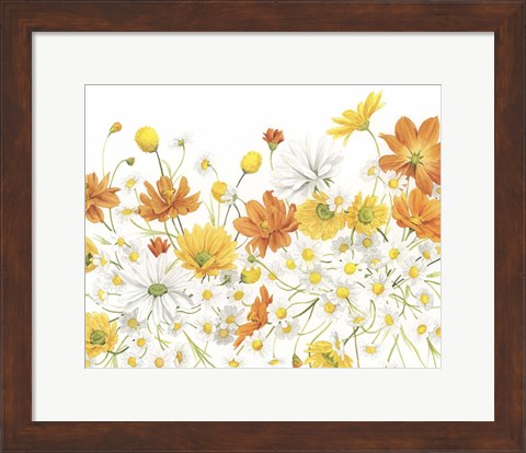 Framed Sunny Wild Bouquet III Print