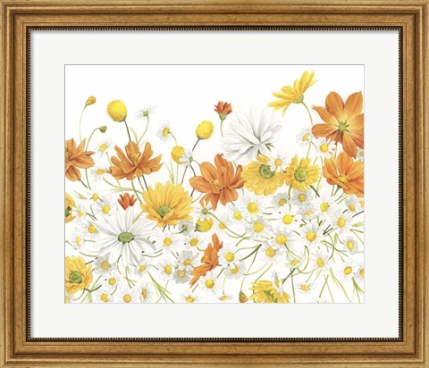 Framed Sunny Wild Bouquet III Print