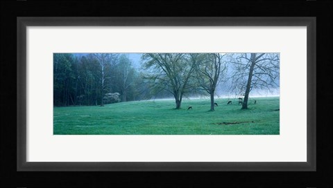 Framed Foggy Morning and Deer Print