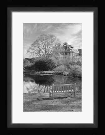 Framed Coastal Oak Series No. 63 Print