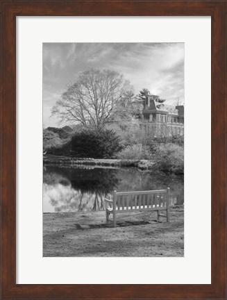 Framed Coastal Oak Series No. 63 Print