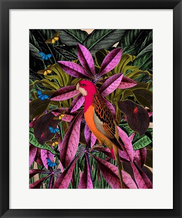 Framed Tropical Jungle No. 2 Print