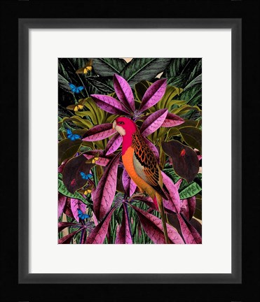 Framed Tropical Jungle No. 2 Print