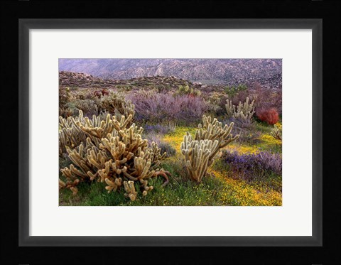 Framed Desert Cactus and Wildflowers Print