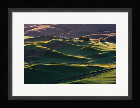 Framed Dream Land #3 Print