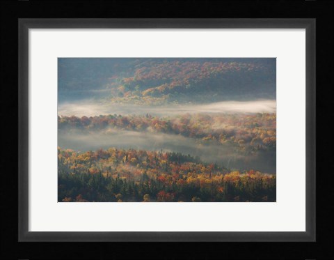 Framed Misty Morning Print