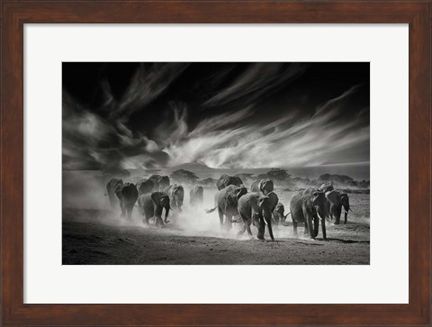 Framed Sky, Dust and Elephants Print