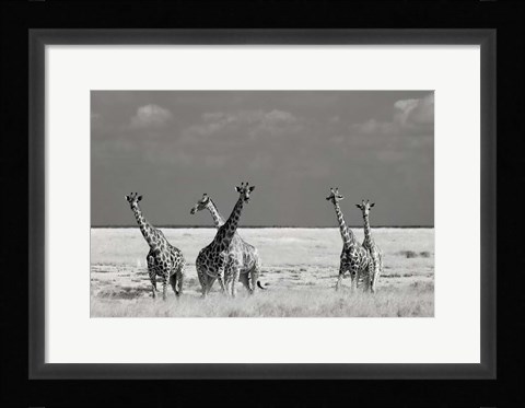 Framed Look Girl Strange Animals Print